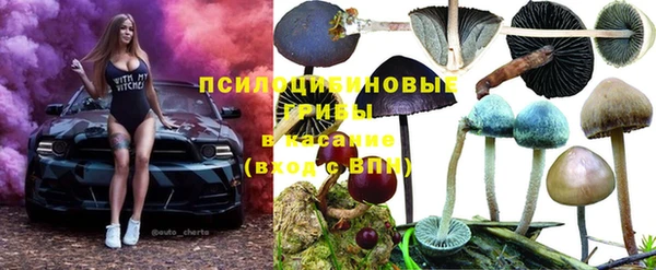 твердый Балахна